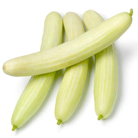 Cucumber ‘White Wonder’ vegetable seeds – heirloom variety with pale fruits