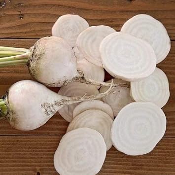 White Beetroot Vegetable Seeds for Planting heirloom & Non-GMO Seeds