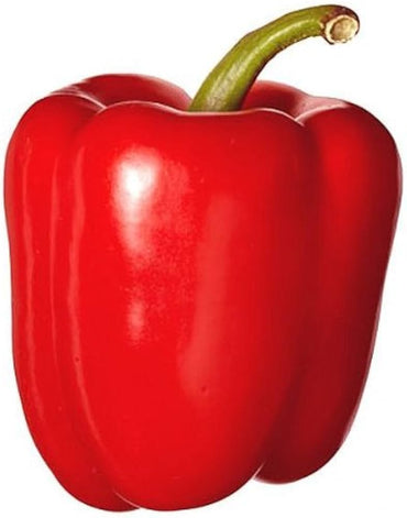 Big red paprika Capsicum annuum vegetable seeds for planting in home garden or backyard beds