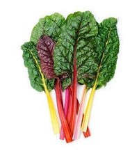 Pink Green Swiss Chard Beta vulgaris seeds for garden planting