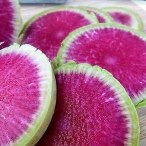 Pink Radish Vegetable Seeds for Planting, heirloom & Non-GMO Seeds