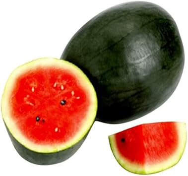 Mulberry Fruit Seeds - Perfect for Nutritious and Flavorful Homemade Treats 100 pcs