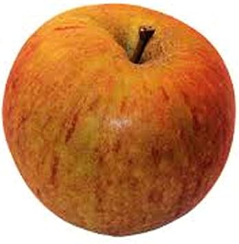 Orange Apple Fruit Seeds for Planting - Sweet and Tangy Apples for Your Garden