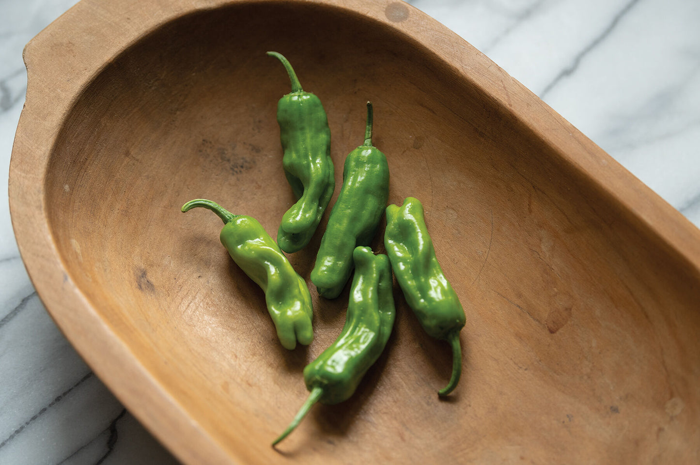 Shishito – Organic Shishito Pepper Seed