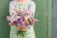 Pastel Mix – Statice Seed