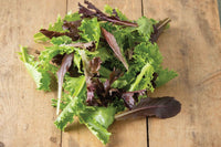 Starstruck Lettuce Mix – Vegetable Seed