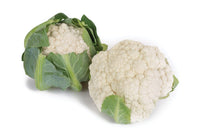 Paxton – Cauliflower Seed