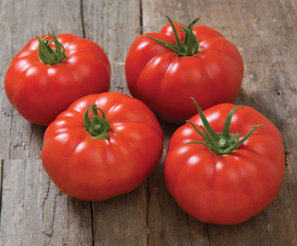Marbonne/Estamino Organic Tomato Seed
