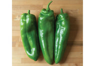 Spitfire – Anaheim Pepper Seed