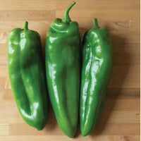 Spitfire – Anaheim Pepper Seed
