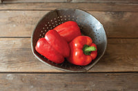 Olly – Organic Bell Pepper Seed