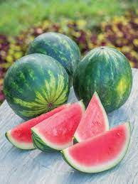 Mini Love – Watermelon Seed