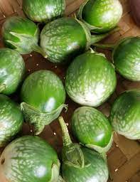 Kermit – Eggplant Seed