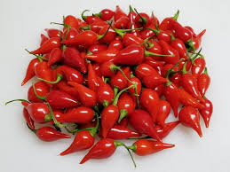 Biquinho Red – Piquillo Pepper Seed
