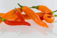 Kilian – Thai Pepper Seed