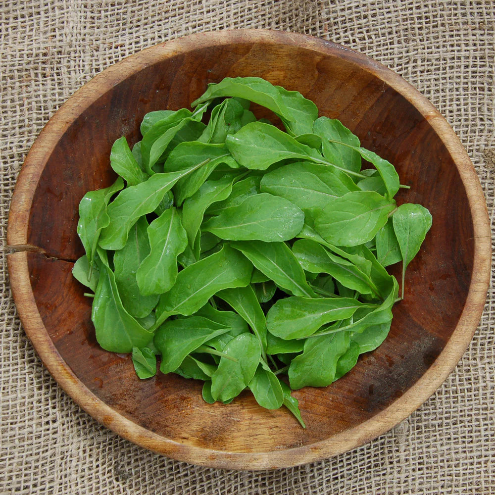 Organic Arugula Seeds