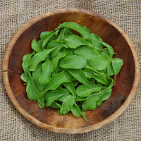 Organic Arugula Seeds