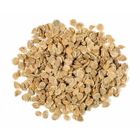 San Marzano Giant Italian Plum Tomato Seeds for Planting - Heirloom & Non-GMO Garden Seeds