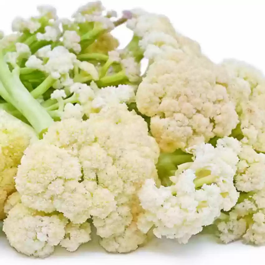Seiketsu Cauliflower Seeds Healthy Vegetable Seeds
