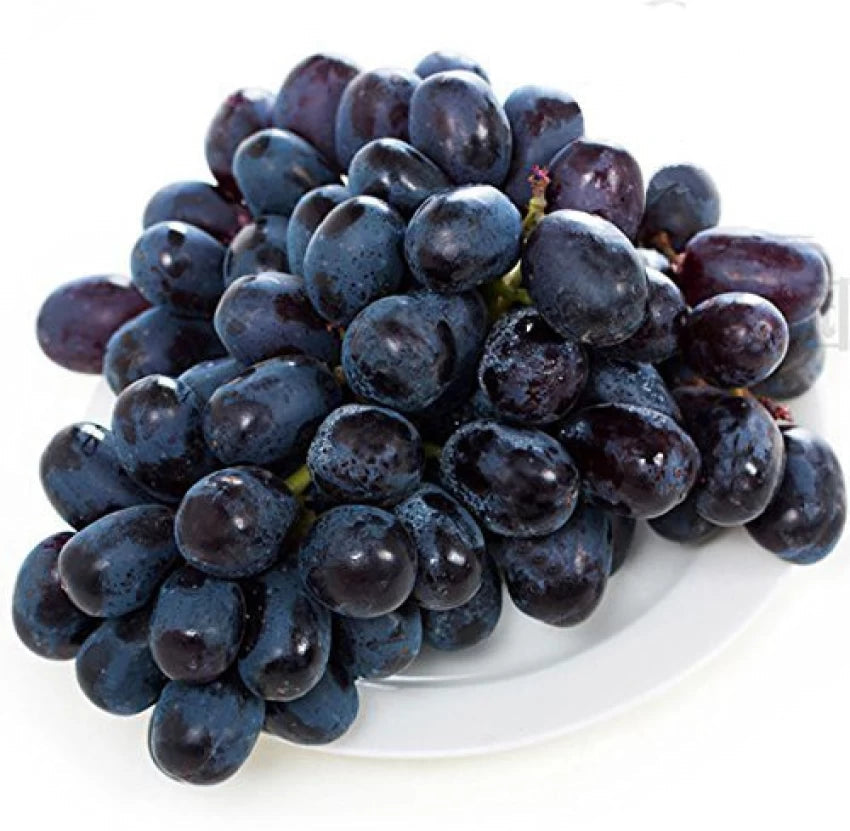 Jaboticaba Plinia cauliflora seeds for tropical grape garden