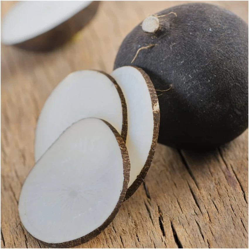 Nero Tondo – Black Radish Seeds