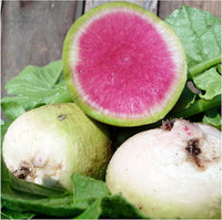 Watermelon Radish Fruit Seeds for Planting – Green, Crisp, and Nutritious, Heilroom Seeds