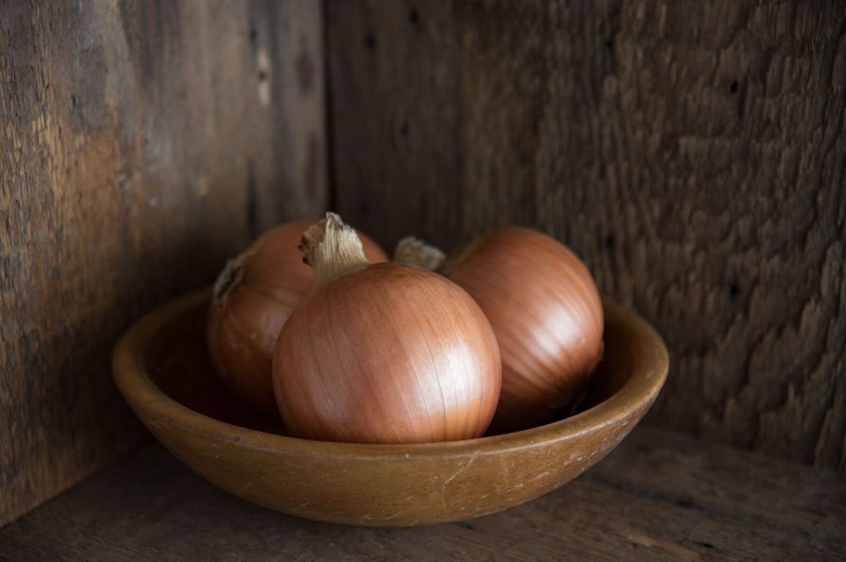 New York Early – Organic Onion Seed