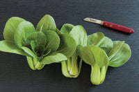 Mei Qing Choi – Bok Choy Seeds