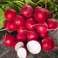 Radish Organic Seeds