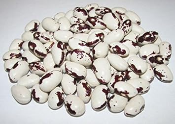 Black & White Troot Bean seeds for garden planting