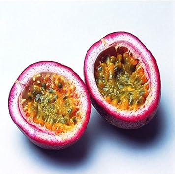 Pink Passion Fruit Seeds for Planting - Delicious Tropical Fruits, Heirloom Seeds