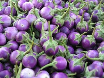 Purple Eggplant Vegetable Seeds for Planting - 100 pcs