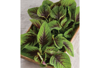 Red Leaf Vegetable Amaranth – Green Seed
