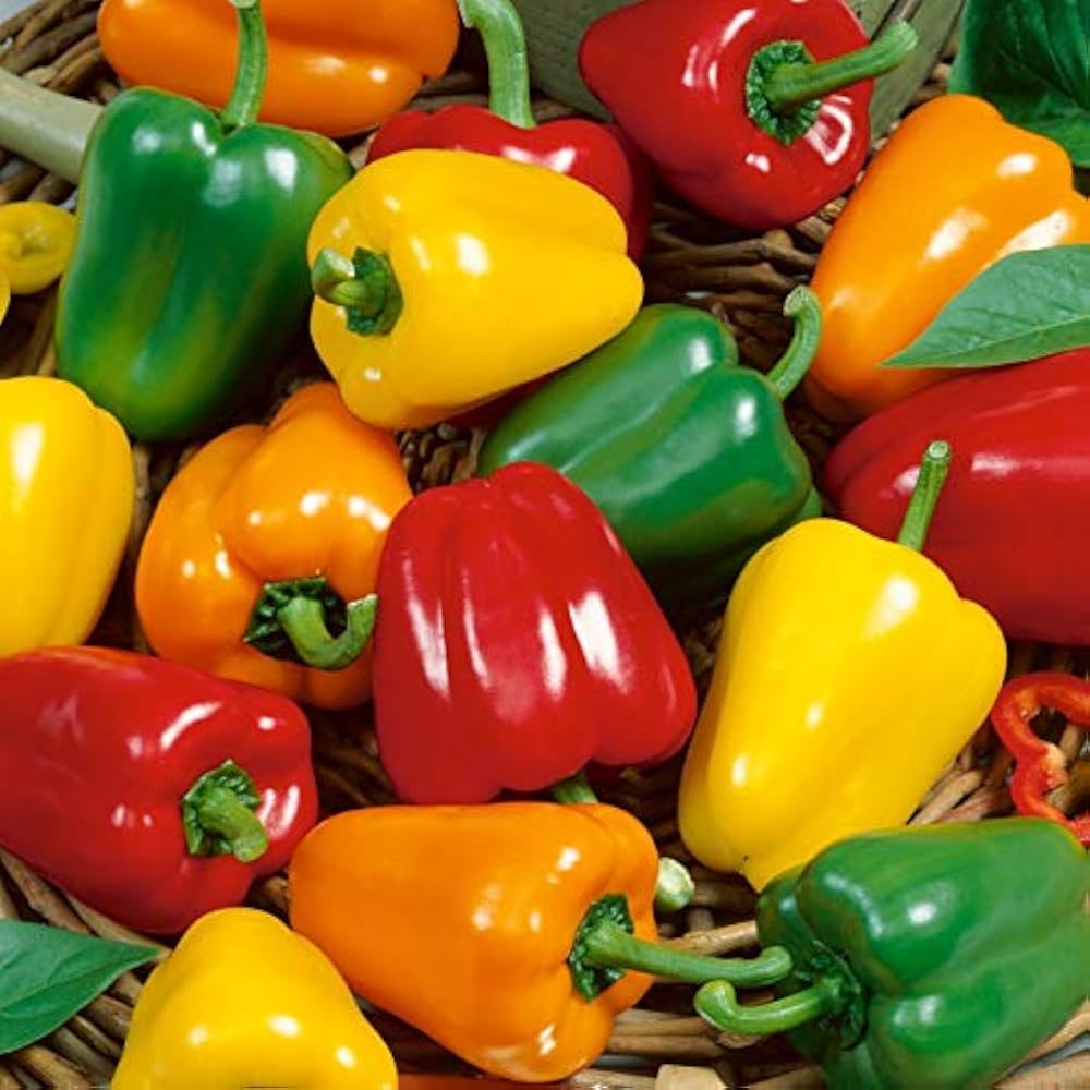 Heirloom - Giove for planting in home garden