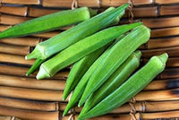 Okra Vegetable Seeds for Planting – Lush Green Variety NON GMO Seeds