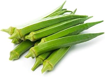 Green Okra Abelmoschus esculentus for planting in vegetable patch