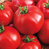 Dark Red Tomato Seeds for Planting - heirloom & Non GMO Seeds