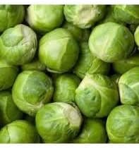Catskill Brussels Vegetable Seeds for Planting - 100 pcs