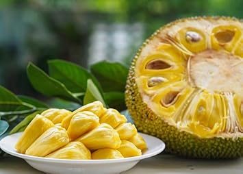 Tomatillo Seeds for Authentic Mexican Cuisine Gardens 100 pcs