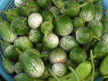 Green & White Eggplant Seeds for Planting - 100 pcs