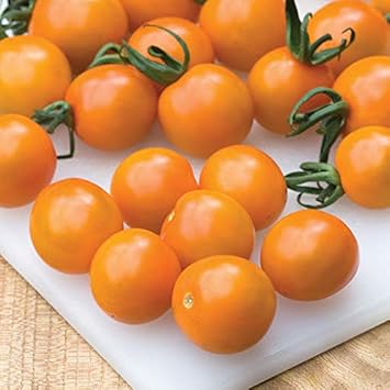 Eggplant Vegetable Seeds for Planting – Purple Variety 100 pcs