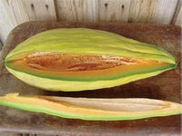 Orange Cantalupo Almizcle Fruit Seeds for Planting - Unique Orange Melon Variety