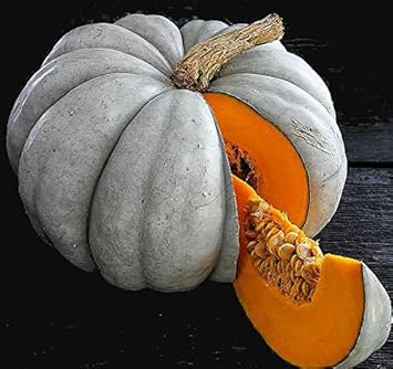 Grey Pumpkin Cucurbita maxima seeds for garden planting