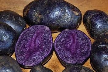 Purple Batatas Potato Vegetable Seeds for Planting - heirloom & Non GMO Seeds