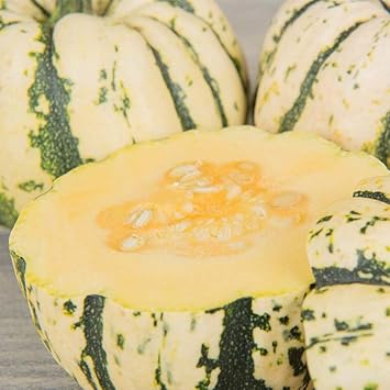 Cucurbita Vegetable Seeds for Planting - 100 pcs
