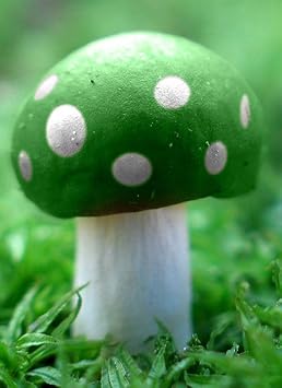 Light green mushroom Pleurotus ostreatus spores for indoor growing