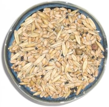 Cream Forage Crop Seeds for Planting heirloom & Non-GMO Seeds