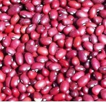 Red Bean Seeds for Planting - heirloom & Non GMO Seeds