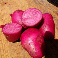 Dark Pink Potato Vegetable Seeds for Planting – Non-GMO, Heirloom, Perfect for Home Garden