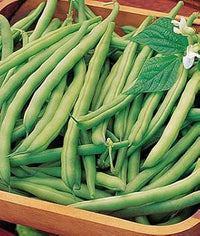 Green Bean Vegetable Seeds for Planting - 100 pcs